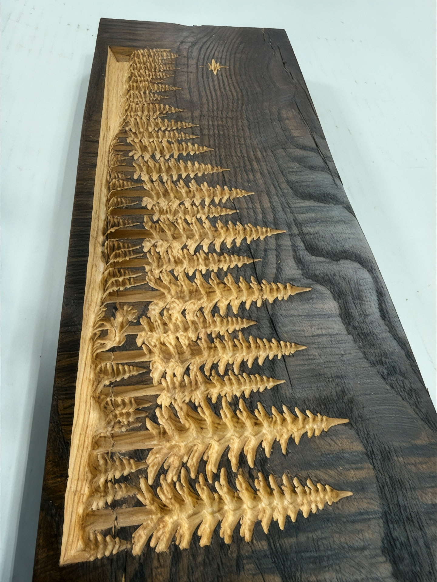 Silent Shore Pines — Live Edge Forest Shelf Art with Hidden Moose